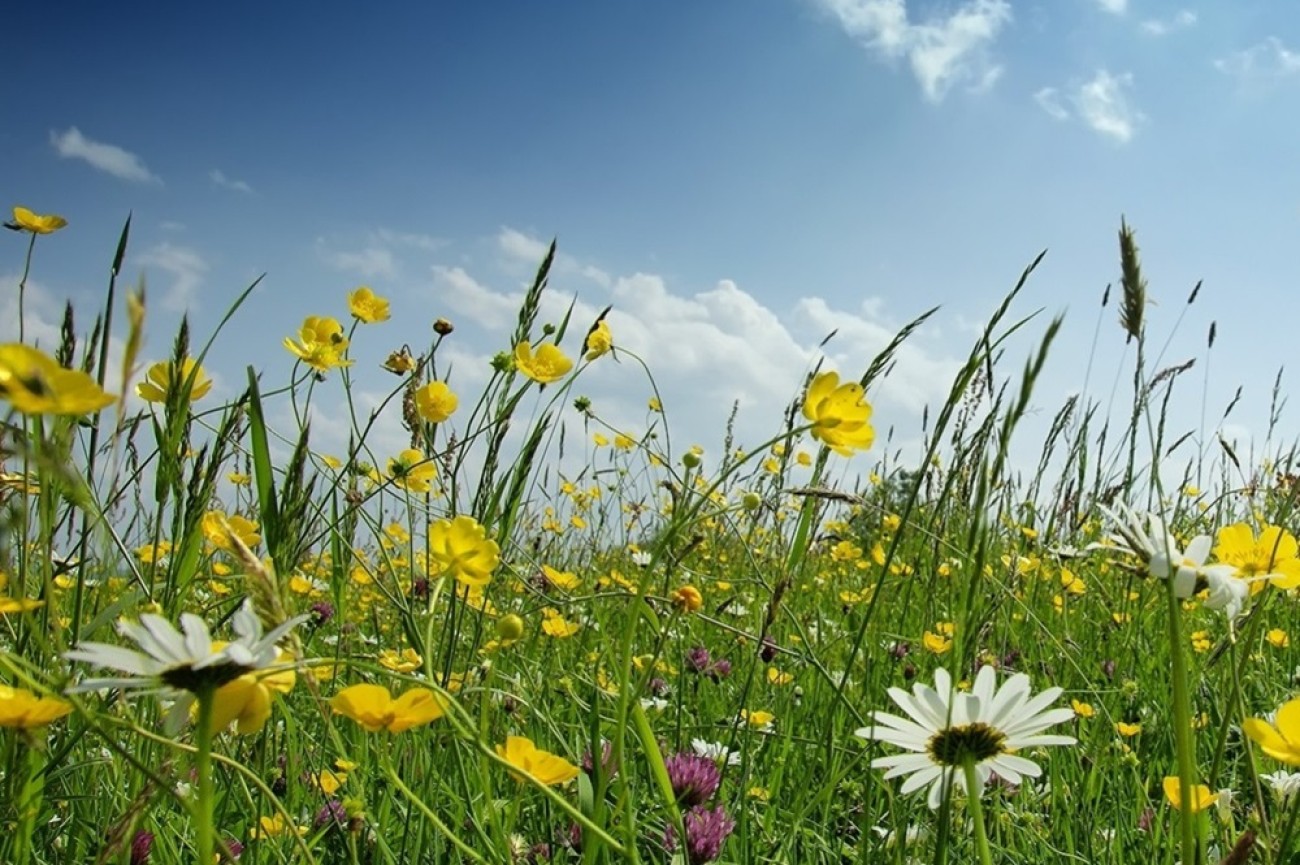 Εαρινή Κόπωση, γιατί νοιώθουμε κουρασμένοι μόλις έρχεται η άνοιξη;