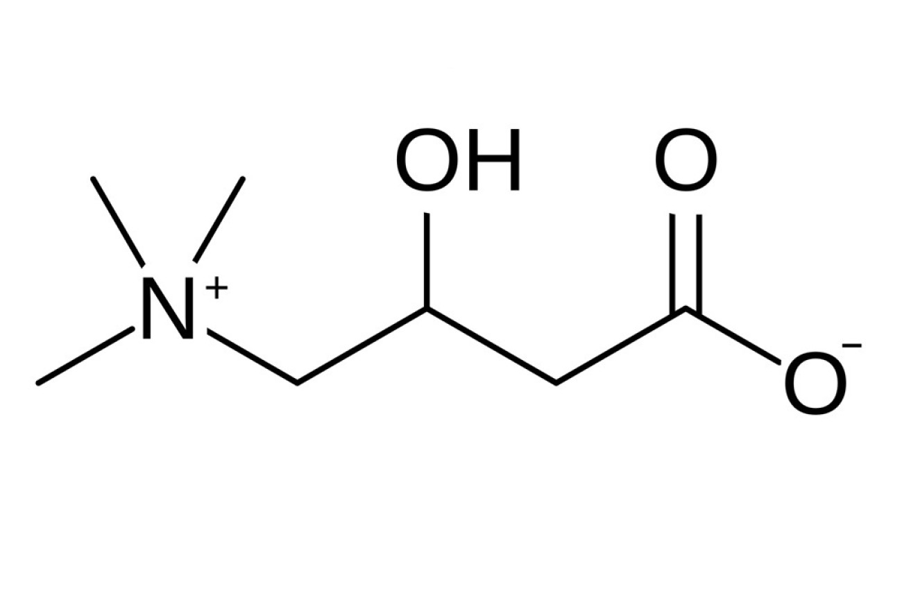 L- Carnitine, το λιποτροπικό αμινοξύ
