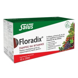 SALUS HAUS Floradix Liquid Iron Formula, Βιταμινούχο Συμπλήρωμα Διατροφής με Υγρό Σίδηρο σε Αμπούλες -10amps x 20ml