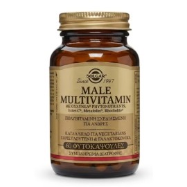 SOLGAR Male Multivitamin, Συμπλήρωμα Διατροφής Πολυβιταμίνης για τις Καθημερινές Ανάγκες του Άνδρα -60veg.caps