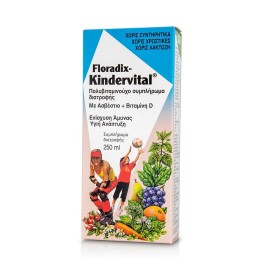 SALUS HAUS Floradix Kindervital, Πολυβιταμινούχο Σιρόπι για Παιδιά - 250ml