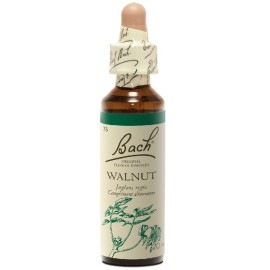 BACH Walnut- Ανθοΐαμα Καρυδιά No33 - 20ml