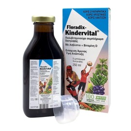 SALUS HAUS Floradix Kindervital, Πολυβιταμινούχο Σιρόπι για Παιδιά - 250ml