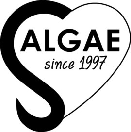 ΑΛΓΗ