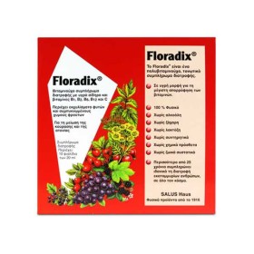SALUS HAUS Floradix Liquid Iron Formula, Βιταμινούχο Συμπλήρωμα Διατροφής με Υγρό Σίδηρο σε Αμπούλες - 10amps x 20ml