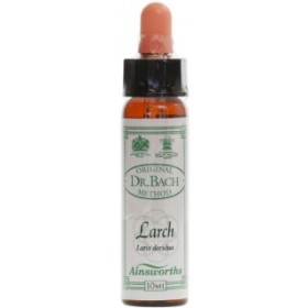 AINSWORTHS Bach Larch- Ανθοΐαμα Λάριξ No19 - 10ml