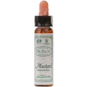 AINSWORTHS Bach Mustard- Ανθοΐαμα Σινάπι No21 - 10ml