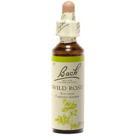 BACH Wild Rose- Ανθοΐαμα Αγριοτριανταφυλλιά No37 - 20ml