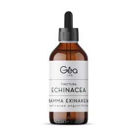 GEA LAB Tinctura Echinachea, Βάμμα Εχινάκεια - 125ml