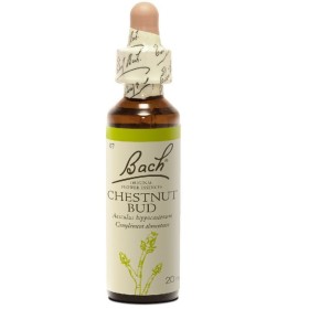 BACH Chestnut Bud -Ανθοΐαμα Μάτι Αγριοκαστανιάς Νο7 - 20ml