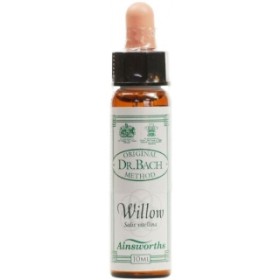 AINSWORTHS Bach Willow- Ανθοΐαμα Ιτιά No38 - 10ml