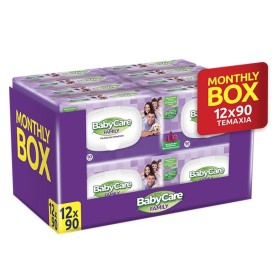 BABYCARE Family Rasberry Monthly Box, Μωρομάντηλα με Rasberry για Όλη την Οικογένεια (12x90τεμ) -1080τεμ