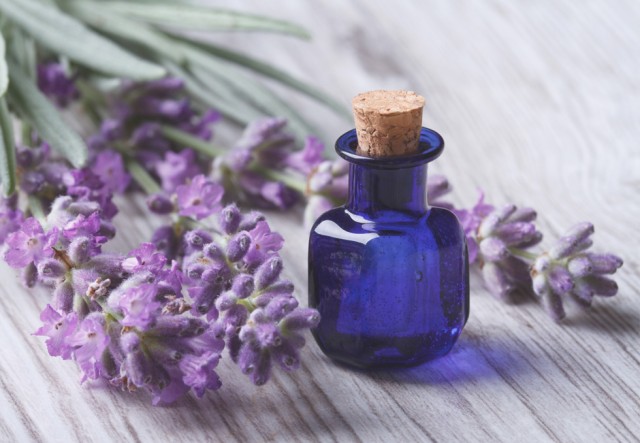7 εντυπωσιακά οφέλη της λεβάντας